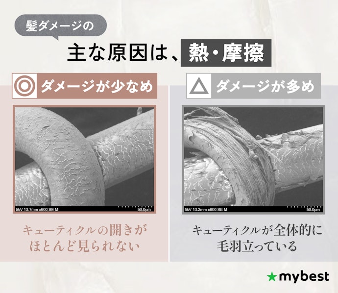 毎日使うなら、髪へのダメージを軽減できるものを選ぼう