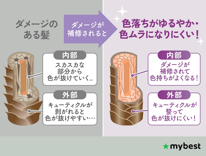 補修成分が充実したシャンプーはよりおすすめ