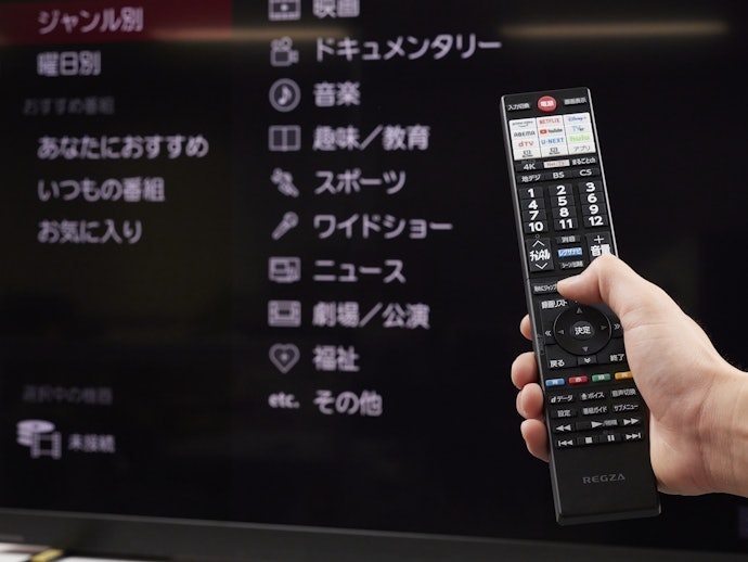 TVS REGZA 4K液晶レグザ 43M550Mの気になる点は1つ!