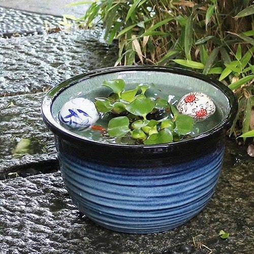 屋外で飼育したいなら、日光で劣化しにくい陶器製がぴったり