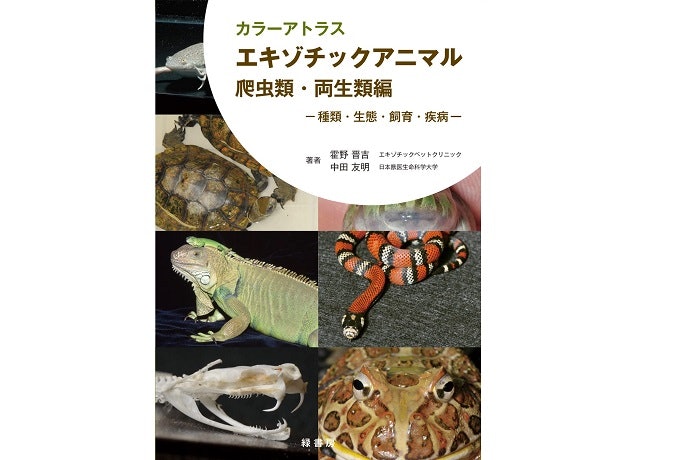 爬虫類飼育者には、飼育に役立つ図鑑がおすすめ
