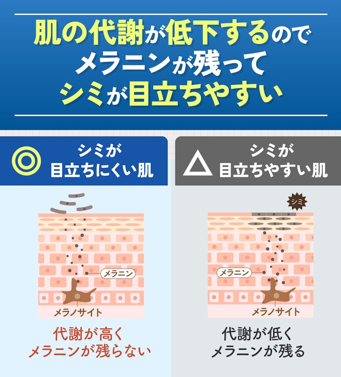 30代以降のメンズは、美白有効成分配合のものを取り入れるのがおすすめ