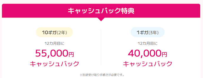 1ギガタイプ(3年プラン)・10ギガタイプ(2年プラン)への申し込みで受けられる特典