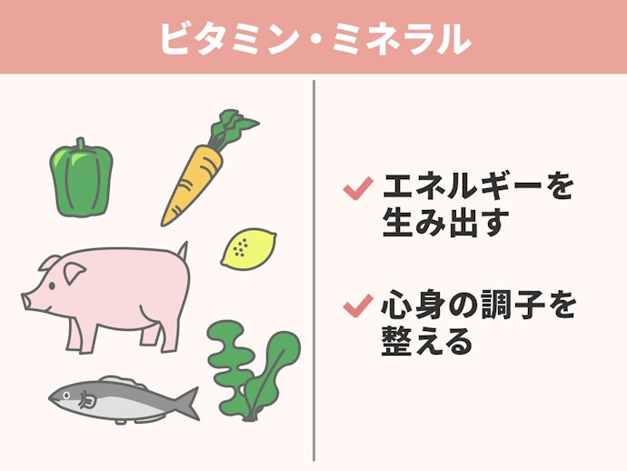 慢性的な疲れには、バランスのよい「ビタミン」・「ミネラル」も重要