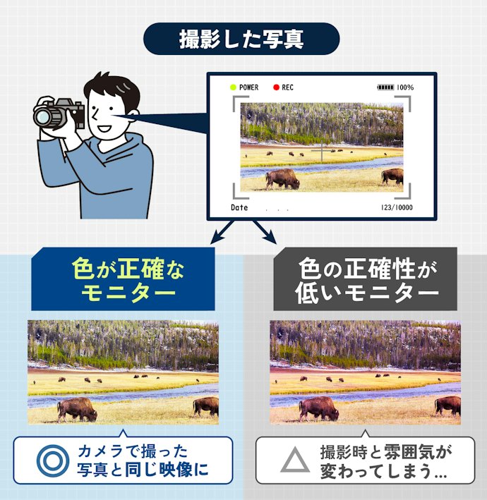 デザイン制作をするなら画質が重要!色が正確なモニターがおすすめ