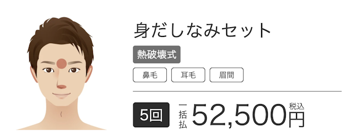 【オプションメニュー】身だしなみセット 熱破壊式5回