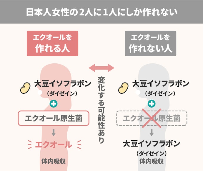 エクオールを産生できる人は「イソフラボン」も検討