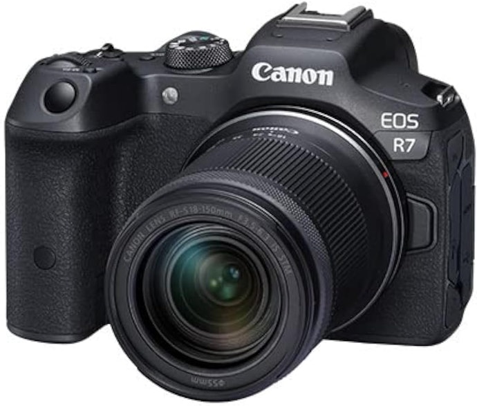 運動会や野鳥など動く被写体を撮るなら、「EOS R7」や「EOS R10」がおすすめ