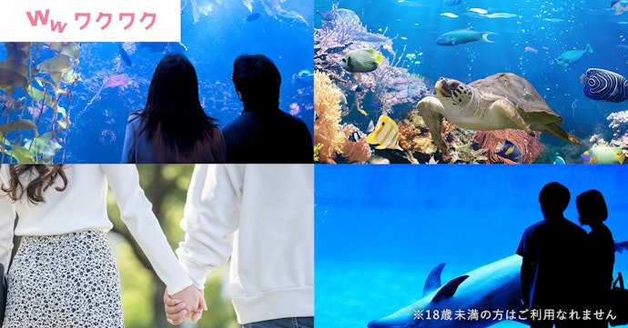 登録者数は1,200万人とそこまで多くない