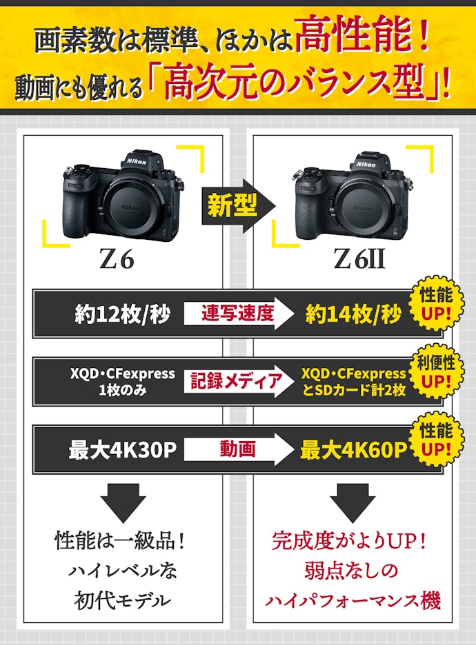 Z 6シリーズはバランス型。静止画・動画ともにプロ級の品質で撮りたい人に好適