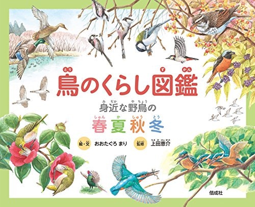 散歩中の楽しみのひとつに!身近な野鳥に特化した図鑑を選ぶのもアリ