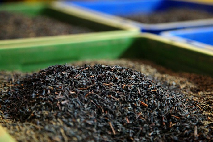 バシラーティー:新鮮な茶葉をスリランカから直送
