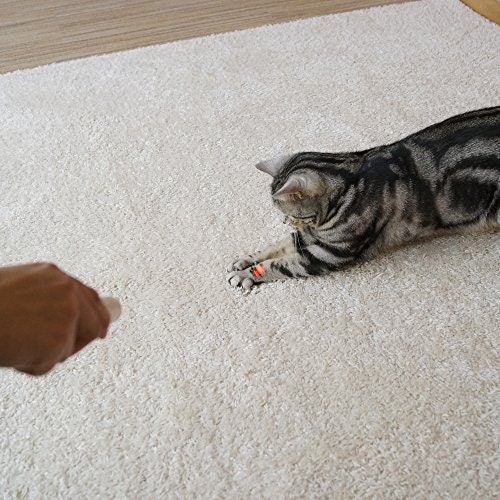 走る・ジャンプするなら光で遊ぶおもちゃもあり。実物のおもちゃも併用して