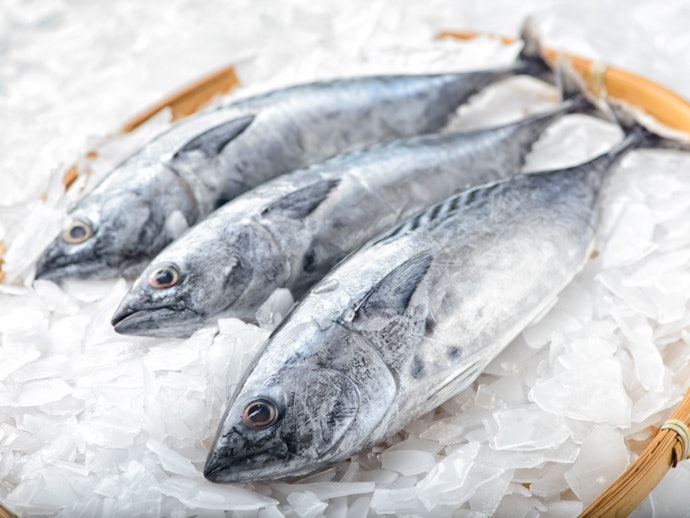 フレークアイス:細かい粒で食材の鮮度保持や冷却用にうってつけ。