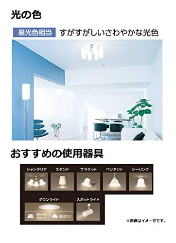 勉強部屋や書斎には、文字がはっきり見える昼光色がうってつけ