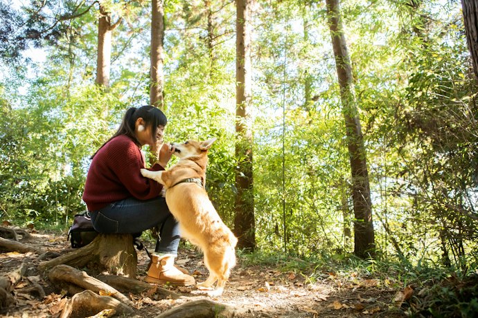 愛犬がいる人はペット同伴可の施設にも注目