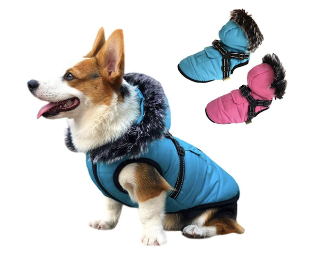 犬種の特徴にぴったりのサイズをチェック