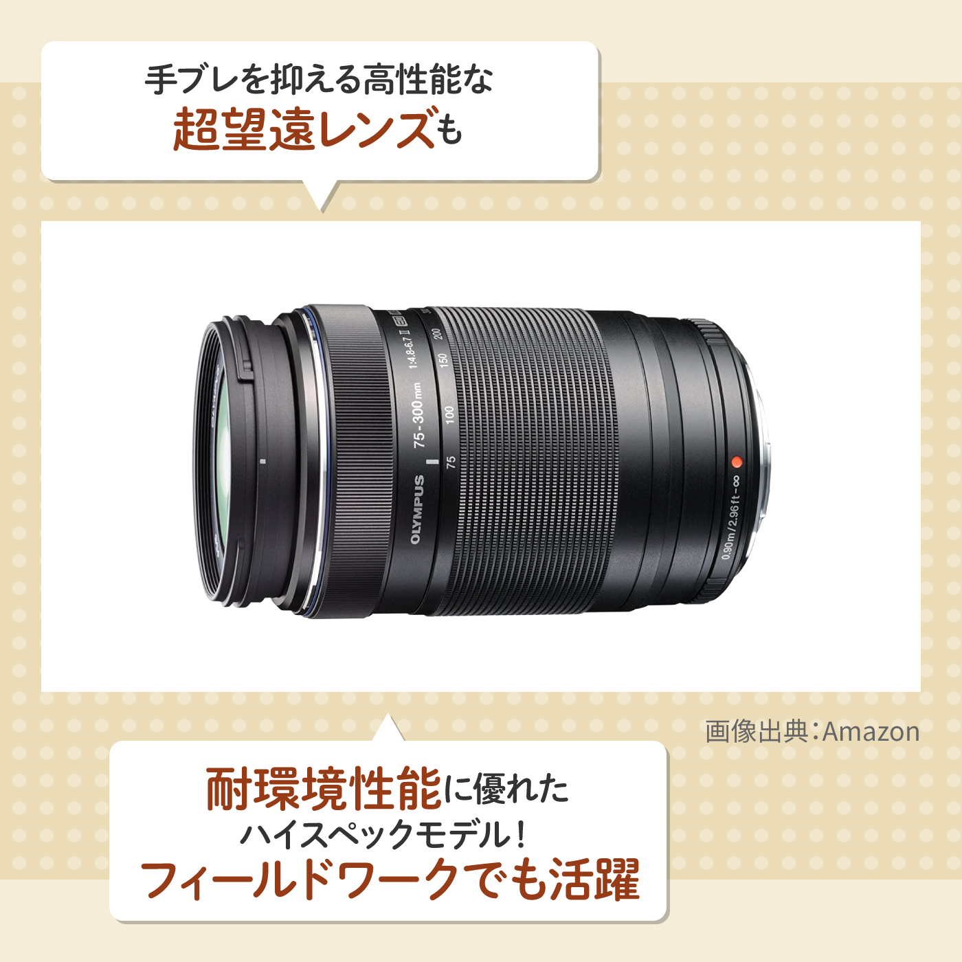 超望遠レンズ⭐Canon EF 100-300mm 運動会・スポーツ観戦・野鳥 超望遠