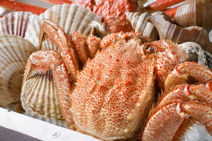 北海道の味覚を丸ごと楽しめる詰め合わせセットに注目