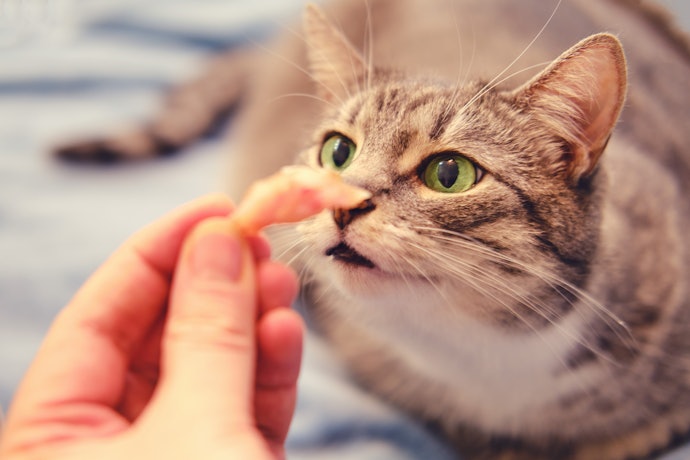 素材のにおいが強いおやつがおすすめ