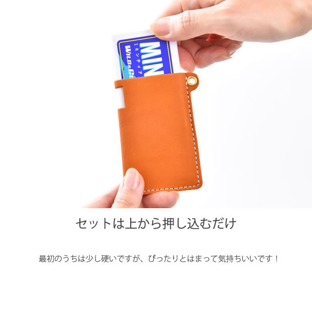 フリスク派・ミンティア派の人は専用に作られたケースがおすすめ