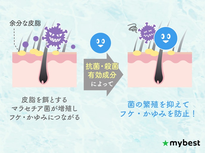 フケ・かゆみを防ぎたいなら抗菌・殺菌有効成分配合がおすすめ