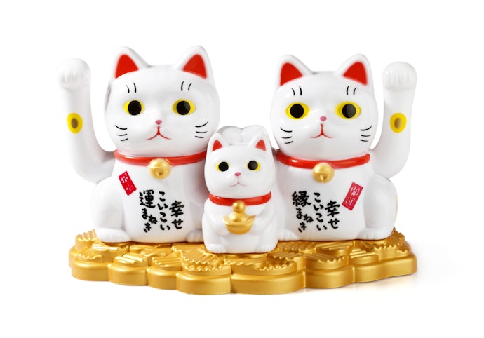 開運招福なら「白」の招き猫