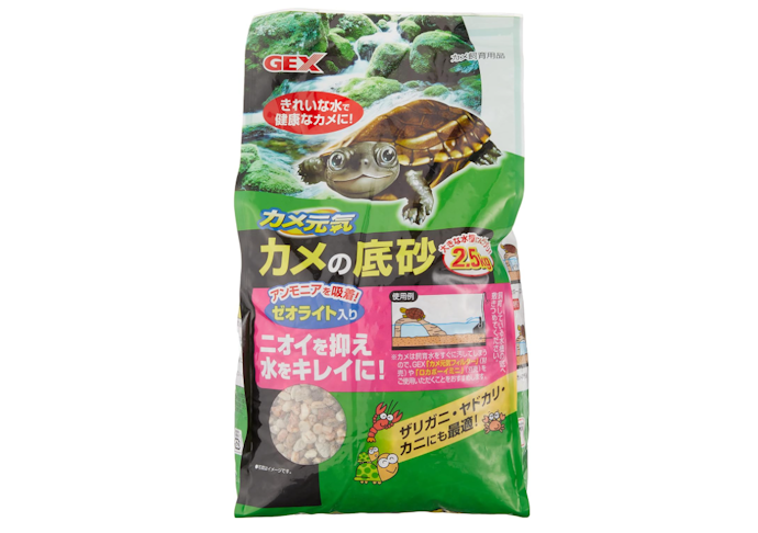 水辺に生息している水棲ガメは、水質維持タイプをチェック
