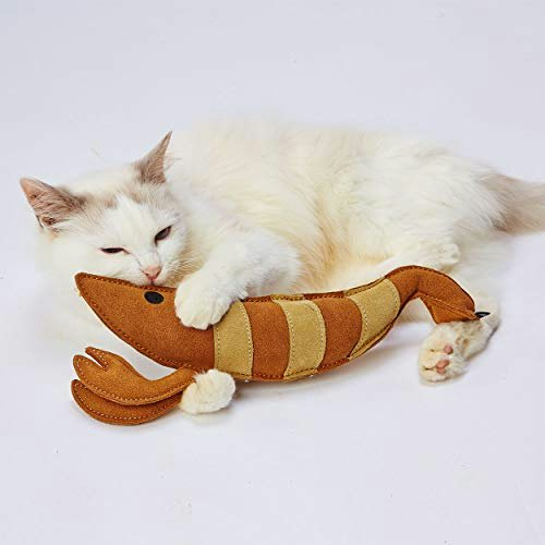噛みグセのある猫にはキャンバスやレザー素材がおすすめ