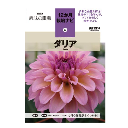 好きな花についてもっと知りたいなら、特定の花を取り扱った図鑑に注目