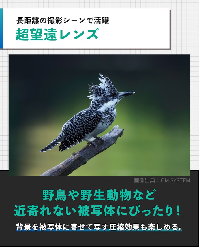 野鳥のような遠く離れた被写体には、200mm以上の超望遠レンズがぴったり