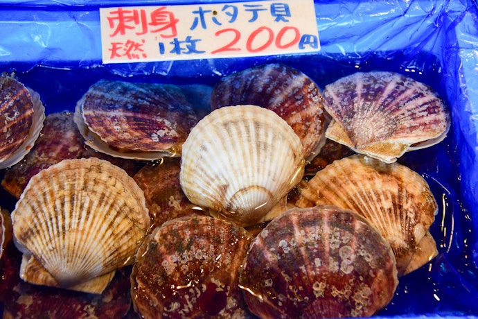 活ホタテ:生きているからこその新鮮な味わいを楽しみたい人に