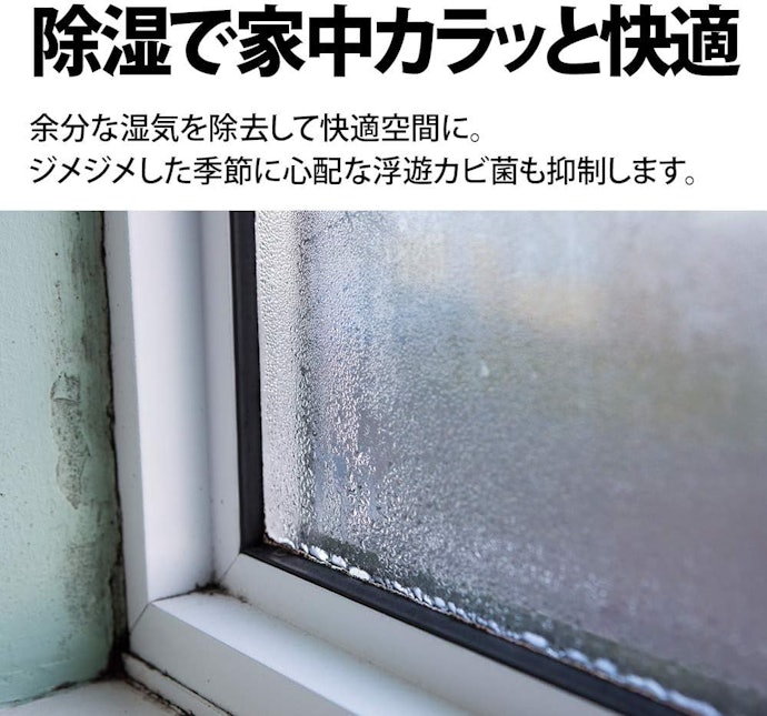 しっかり除湿したいなら、定格除湿能力の高いモデルを選択しよう