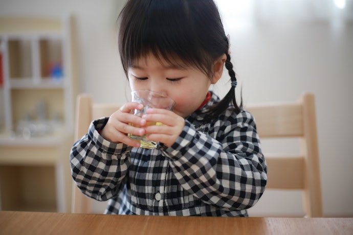 原材料にこだわるなら、着色料・保存料・砂糖などの添加物不使用もあり