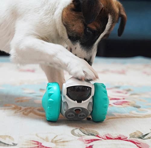 好奇心が強い愛犬なら、興味を引く音が鳴る・動くおもちゃがぴったり