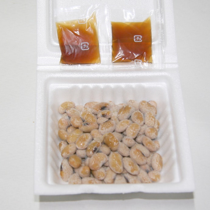 コスパや使い勝手重視なら、発泡スチロール入りが便利
