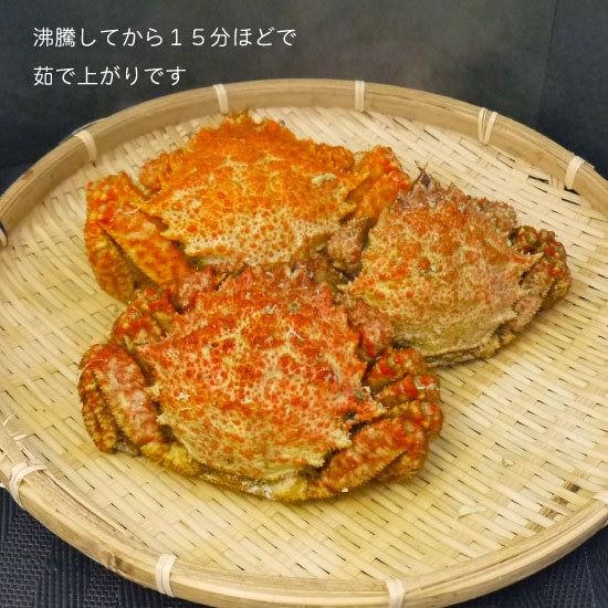 濃厚なカニ味噌を楽しみたいなら、毛ガニ・セコガニ・モクズガニがおすすめ