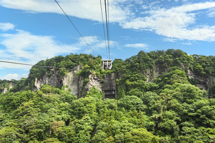 花や里山の風景、味覚狩りならかずさ・臨海エリアをチェックしよう