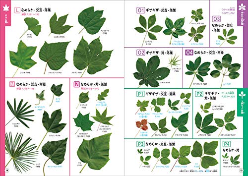 樹木図鑑のおすすめ人気ランキング | マイベスト