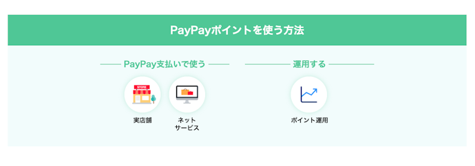 ポイントをクレジットカード支払いに充てることはできない