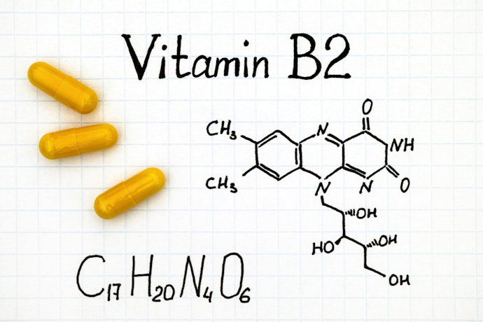 皮膚・被毛の健康が気になるなら「ビタミンB2」