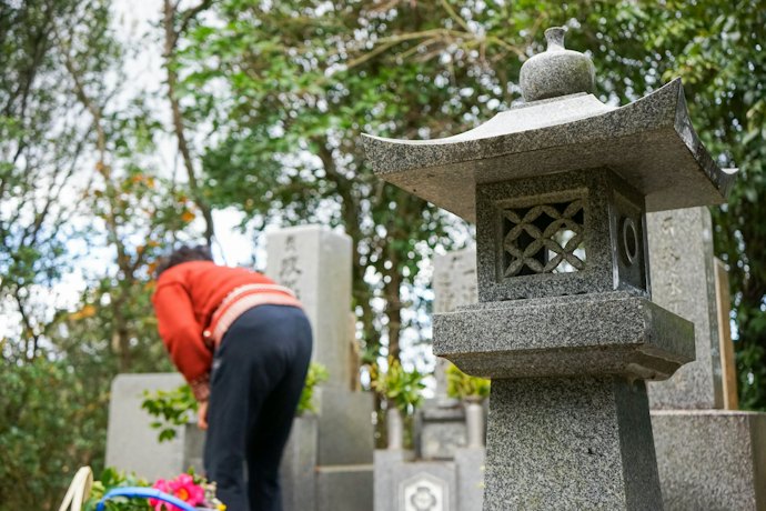 敷地内もきれいにしたいなら「雑草処理」対応の業者が便利