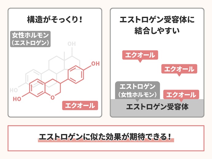 女性特有の悩みにはエストロゲンに似た働きをする「エクオール」サプリがおすすめ