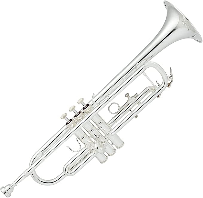 Bach(バック):キラキラとしたパワフルな音を奏でたいならコレ