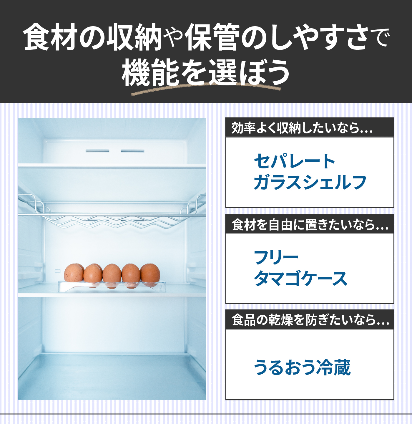 三菱の冷蔵庫のおすすめ人気ランキング【2025年10月】 | マイベスト