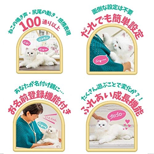 センサー内蔵:コミュニケーションを楽しみたい人に。大人にもおすすめ