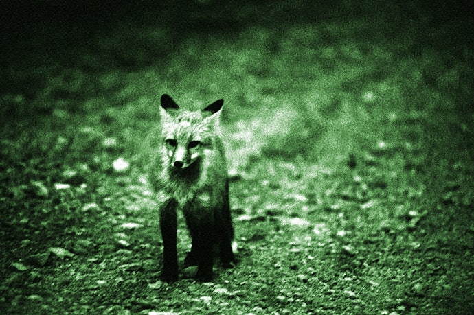 暗視機能:夜行性の動物の観察時に便利。夜間の警備などでも役立つ