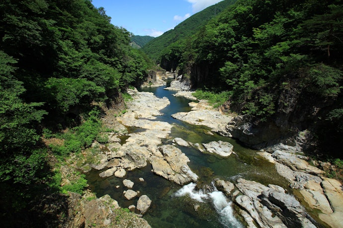 鬼怒川温泉:高級宿が多く、贅沢な時間を過ごしたい人におすすめ