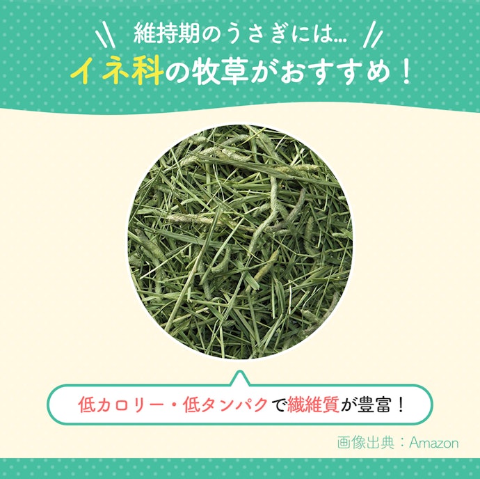 イネ科牧草は低カロリー・低タンパク。大人のうさぎの体重管理におすすめ