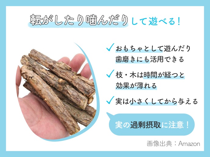 おもちゃとして使うなら、乾燥した実・枝・木タイプがうってつけ